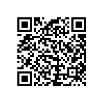 RCP1206B300RJS2 QRCode