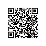 RCP1206W300RJEC QRCode