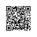 RG1005P-511-D-T10 QRCode