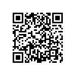 RG1608V-2490-B-T1 QRCode