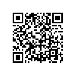 RG2012P-3013-W-T1 QRCode