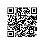 RG2012V-161-B-T1 QRCode