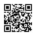 RJ13P105 QRCode