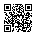 RJHSE5381A1 QRCode