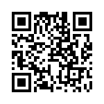 RJHSE538302 QRCode