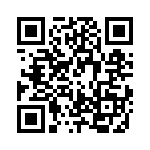 RJHSEE387A4 QRCode