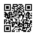 RJLSE4018101T QRCode