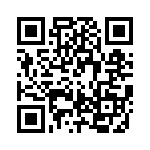 RJLSE4138101T QRCode