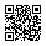 RJLSE4208101T QRCode