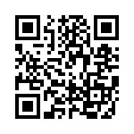 RM48L740DPGET QRCode