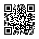 RM48L940DPGET QRCode