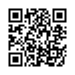 RMCF0201JT13R0 QRCode