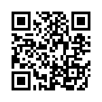 RMCF0402FT1M13 QRCode