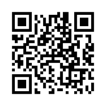 RN2903-I-RM095 QRCode