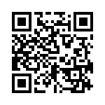 RN55C1333DRSL QRCode