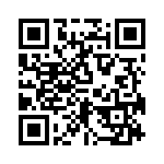 RN55C1381BRSL QRCode