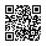 RNA4A8E333JT QRCode