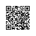 RNC55H1333BSBSL QRCode