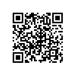 RNC55H1333DSRSL QRCode