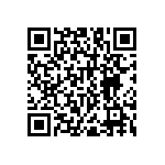 RNC55H1653BSRSL QRCode