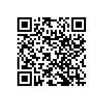 RNC55H30R9FSRE6 QRCode