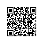 RNC55H3160BSB14 QRCode