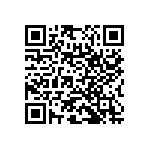 RNC55H3163BSRE6 QRCode