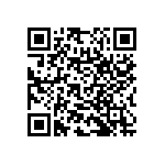 RNC55H3793BSBSL QRCode