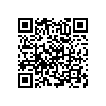 RNC55H4121BSRSL QRCode