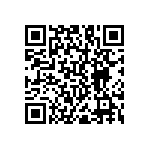 RNC55H5051BSRSL QRCode