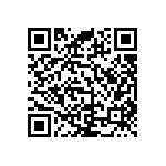 RNC55H5053BSBSL QRCode