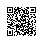 RNC55H6041BSBSL QRCode