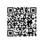 RNC55J1001BSBSL QRCode