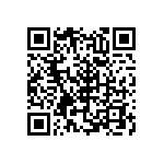 RNC55J1333BSB14 QRCode