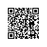 RNC55J1381BSB14 QRCode