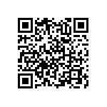 RNC55J16R2FSBSL QRCode