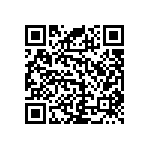 RNC55J2004BSBSL QRCode