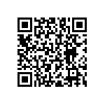 RNC55J2403BSB14 QRCode