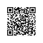 RNC55J2462BSBSL QRCode