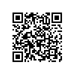 RNC55J2491BSRE6 QRCode