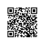 RNC55J2873BRBSL QRCode