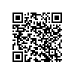 RNC55J2941BSBSL QRCode