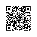 RNC55J3120BSRE6 QRCode