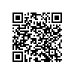 RNC55J3833BSRE6 QRCode