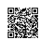 RNC55J4023BSRE6 QRCode