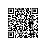 RNC55J4070BSRSL QRCode