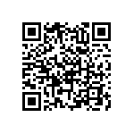 RNC55J4531FSB14 QRCode