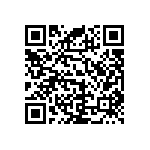 RNC55J5303BSBSL QRCode