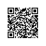 RNC55J6043FSBSL QRCode