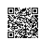 RNC55J6193FSBSL QRCode